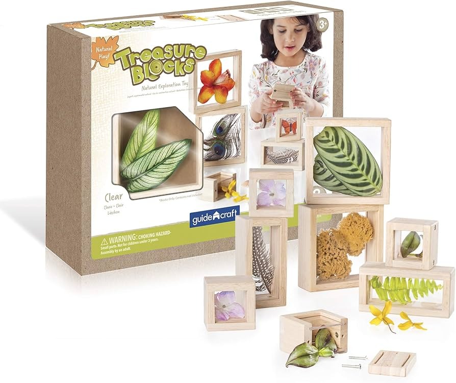 BLOQUES DEL TESORO DE MADERA, TRANSPARENTES