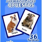 Memoria de Opuestos
