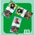 Dominó de Animales
