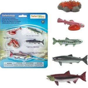 CICLO DE VIDA EN CONCRETO: SALMON