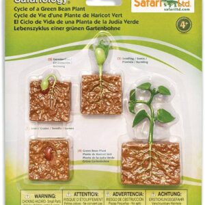 CICLO DE VIDA EN CONCRETO: PLANTA