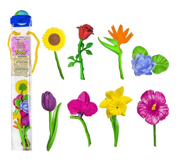 TOOB: FLORES, SET DE 8