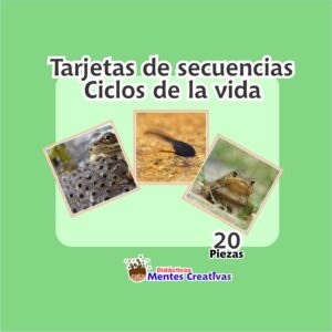Secuencias de Ciclo de Vida